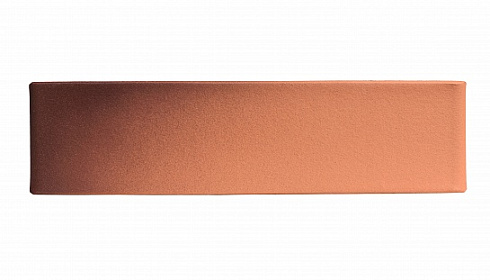 Кирпич керамический облицовочный пустотелый одинарный RECKE6-21-00-0-00 1 NF