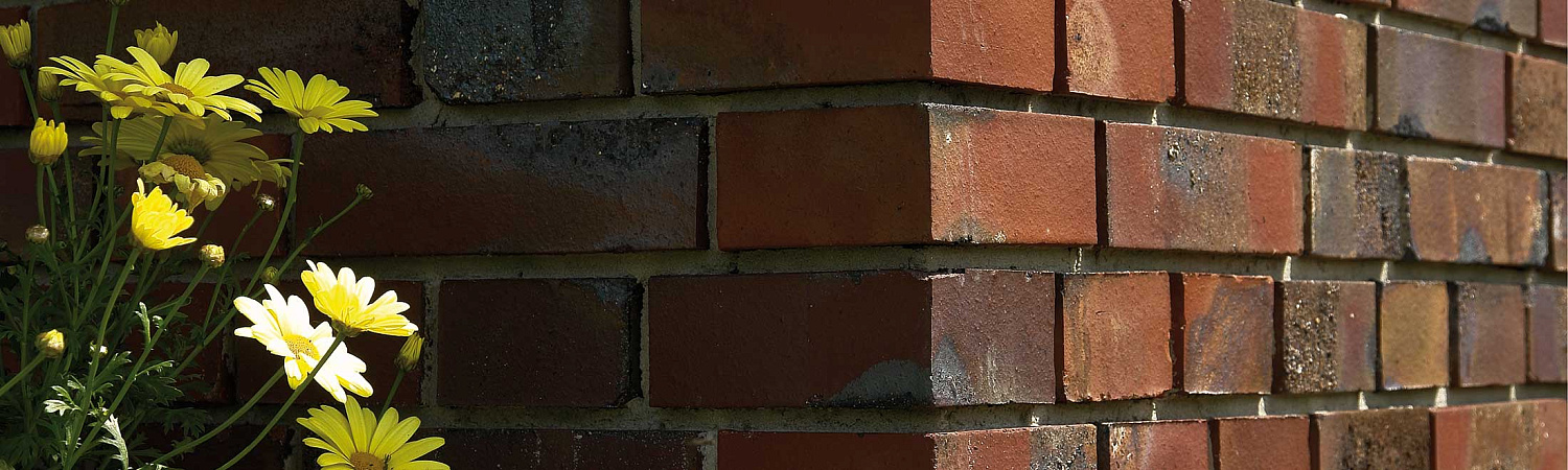 Фотографии домов из кирпича LODE (Псковская область, Пыталово)