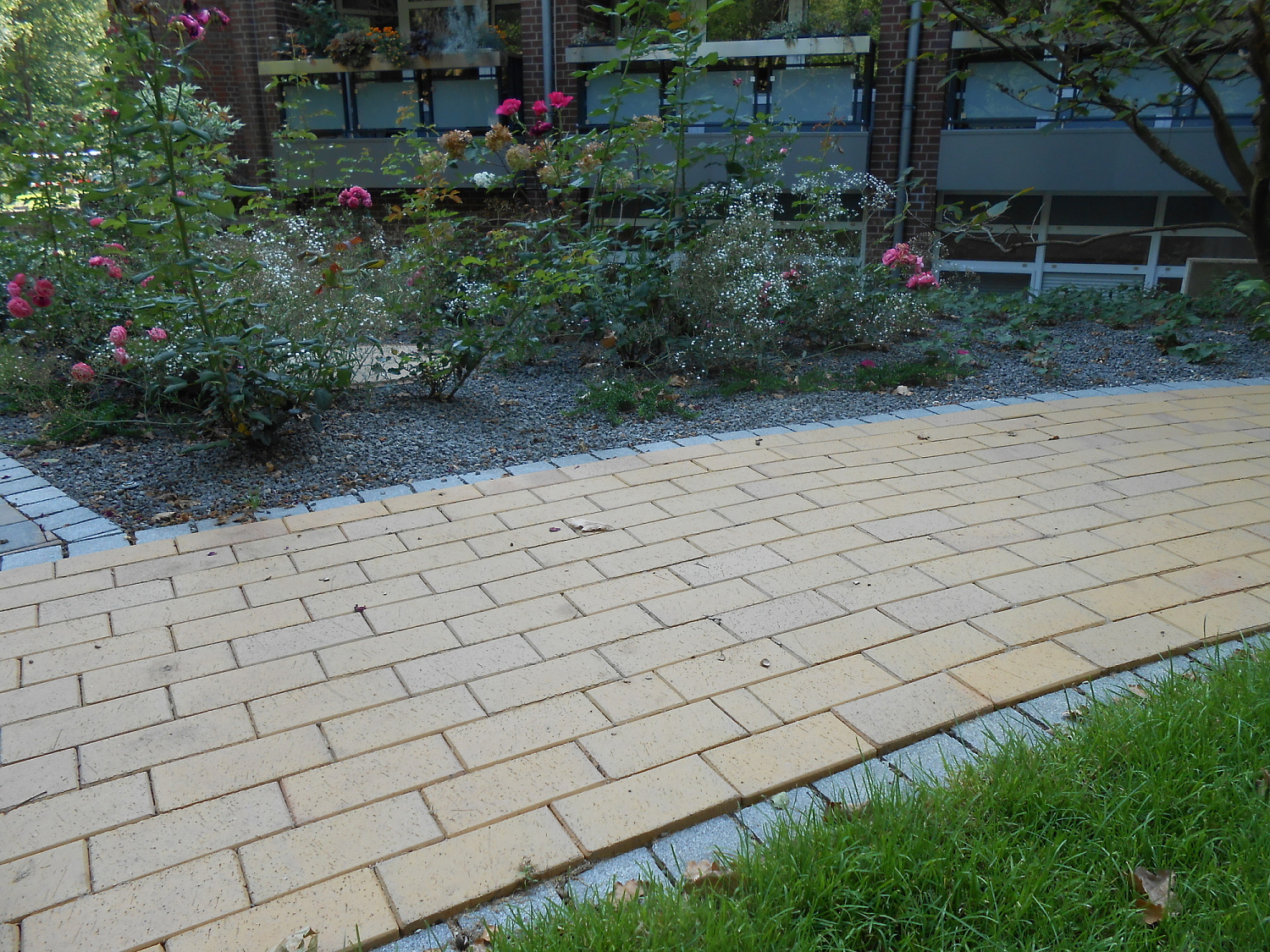 Фото клинкерной брусчатки. Кирпич тротуарный для замощения (Lode)